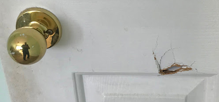 interior door hole repair Healdsburg